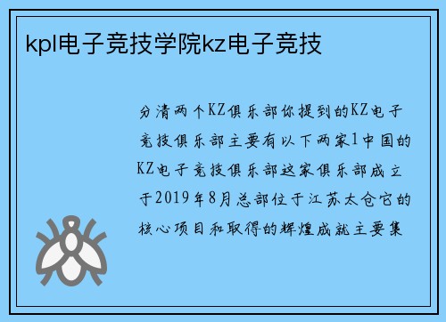 kpl电子竞技学院kz电子竞技